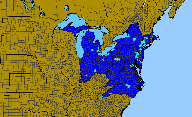 The range of Viburnum plicatum